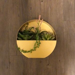 Succulent wall art